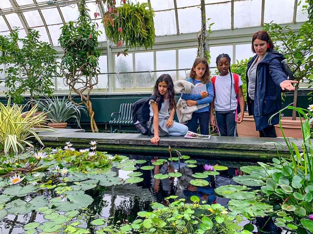 teacher and students looking into a pond at the NY Botanical Garden